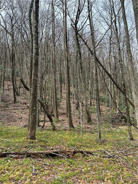 Photo of 58 Wilderness Reserve Parkway, Deep Gap, NC 28618 (MLS # 261190)