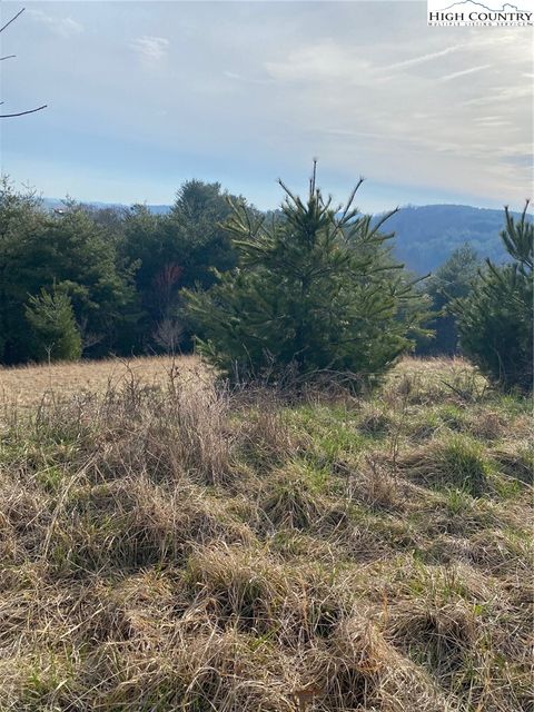 Photo of tbd Autumn Glen Drive, Sparta, NC 28675 (MLS # 260878)