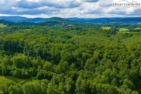 Photo of TBD Phipps Dairy Road, Piney Creek, NC 28663 (MLS # 257482)