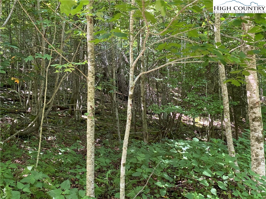 Boone, North Carolina 28607, United States, ,Land,Active,54059