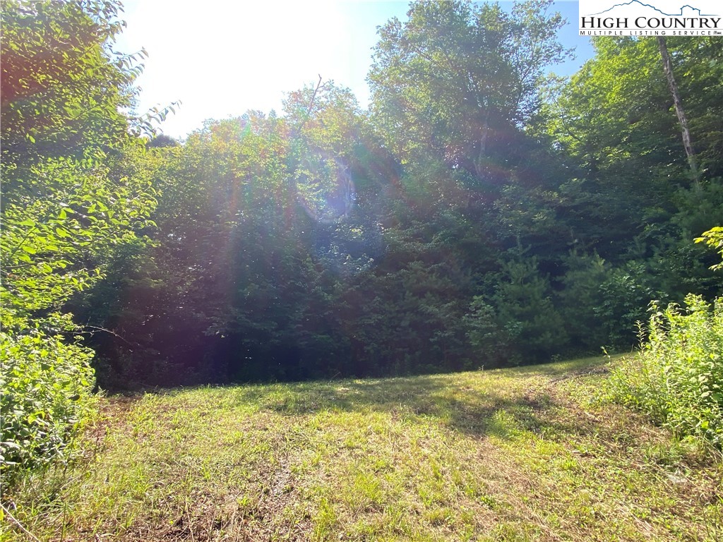 Boone, North Carolina 28607, United States, ,Land,Active,54059