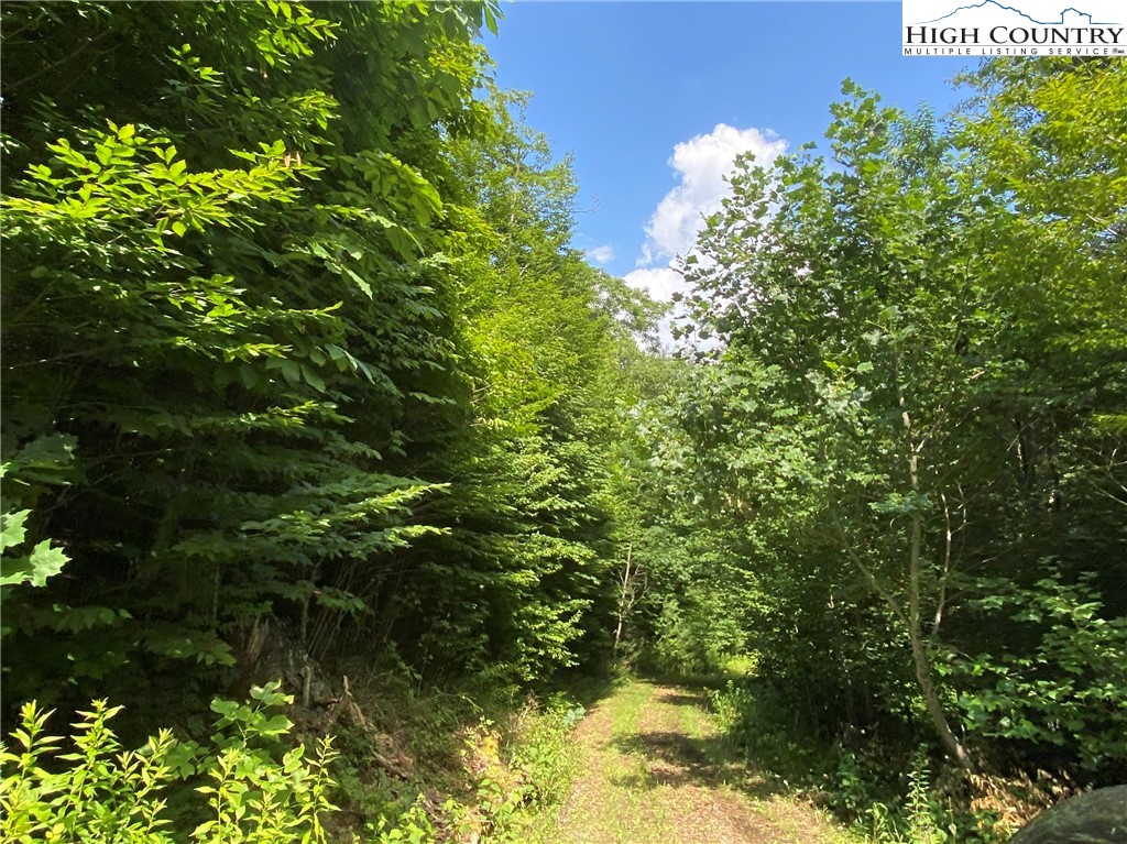 Boone, North Carolina 28607, United States, ,Land,Active,54059