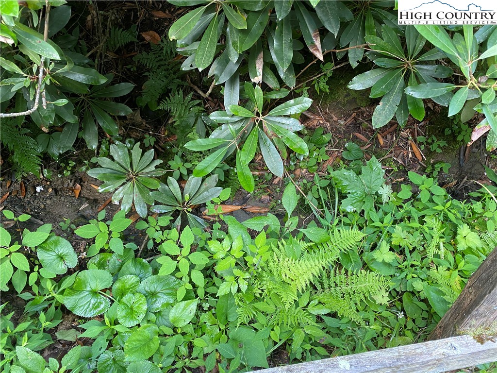 Boone, North Carolina 28607, United States, ,Land,Active,54059