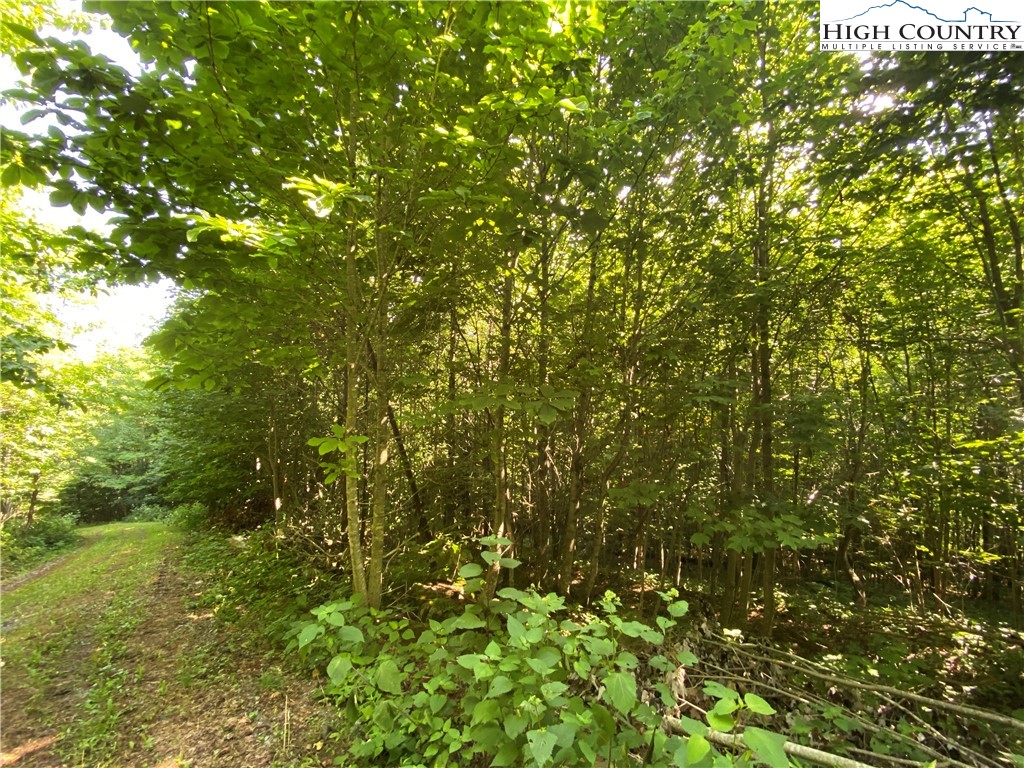 Boone, North Carolina 28607, United States, ,Land,Active,54059