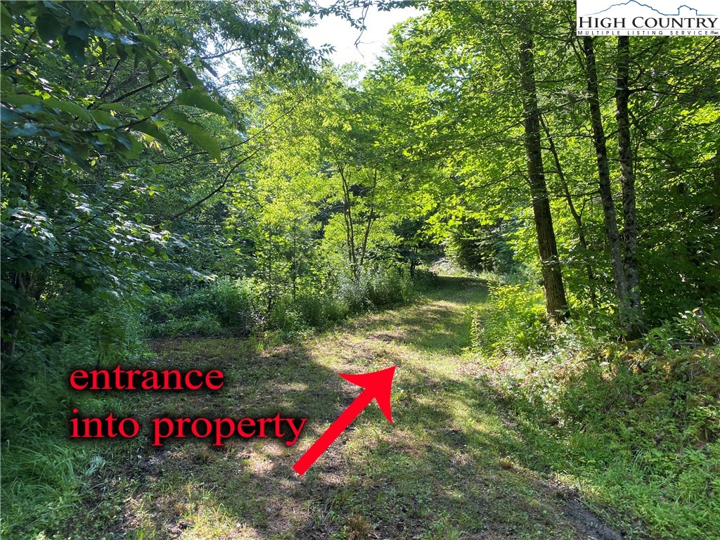 Boone, North Carolina 28607, United States, ,Land,Active,54059