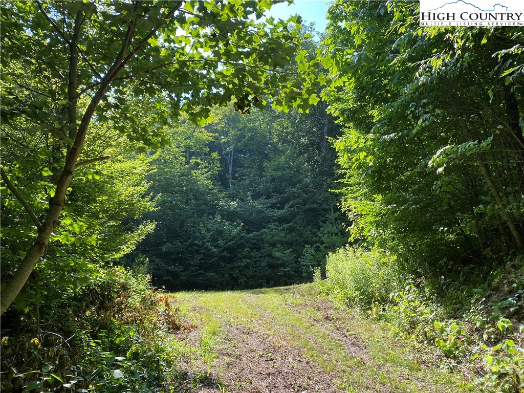 Boone, North Carolina 28607, United States, ,Land,Active,54059