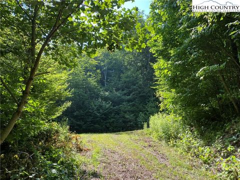 Photo of Tract 1 Spring Mountain Trail, Boone, NC 28607 (MLS # 250516)