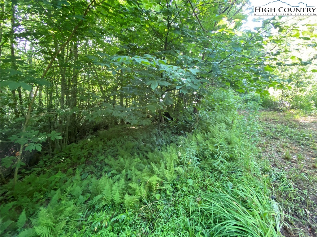 Boone, North Carolina 28607, United States, ,Land,Active,54059