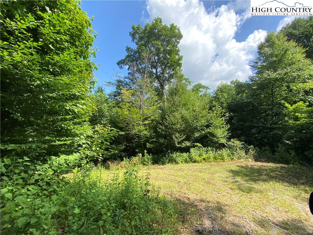 Boone, North Carolina 28607, United States, ,Land,Active,54059