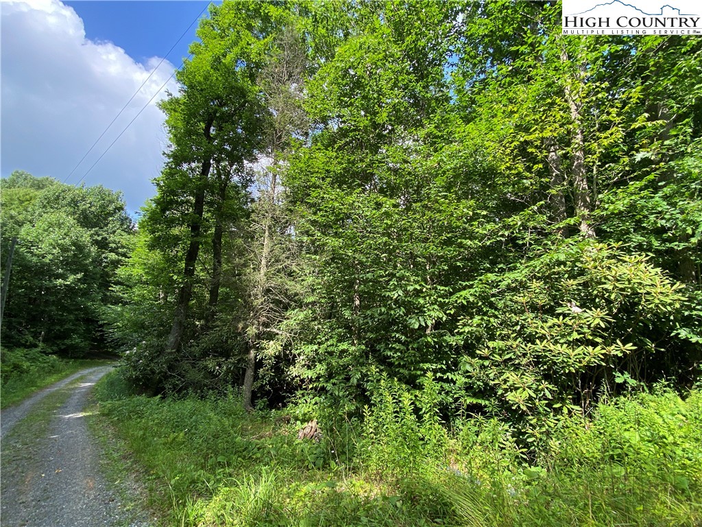 Boone, North Carolina 28607, United States, ,Land,Active,54059