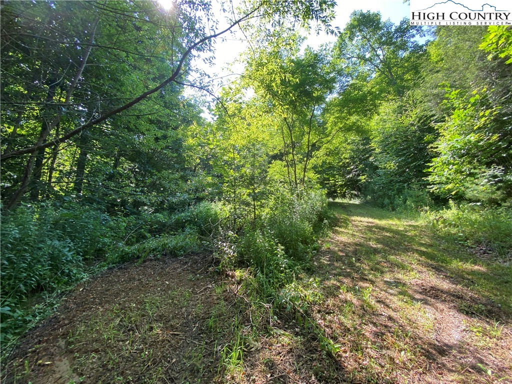 Boone, North Carolina 28607, United States, ,Land,Active,54059