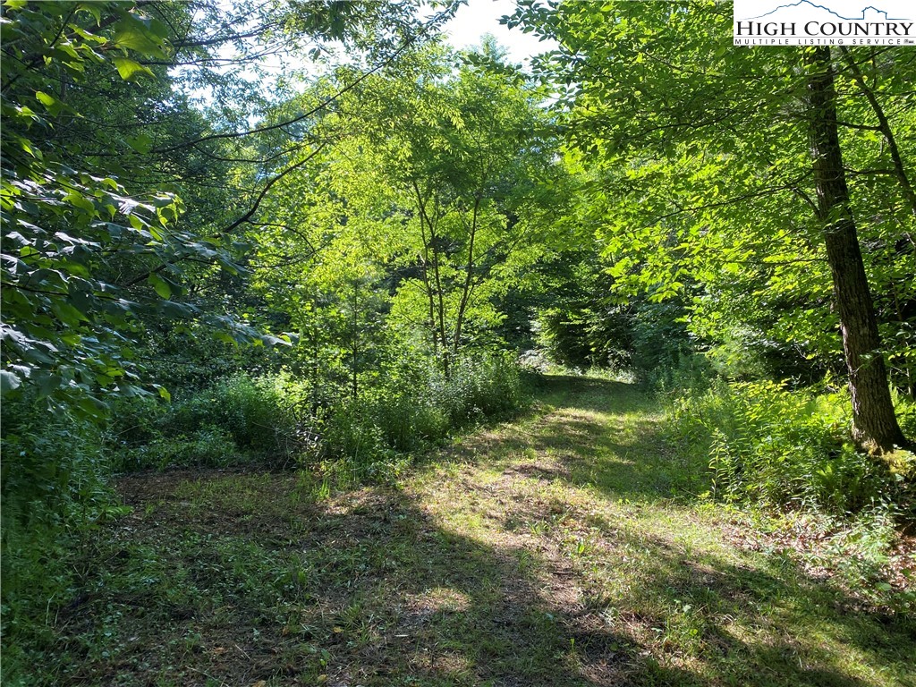 Boone, North Carolina 28607, United States, ,Land,Active,54059