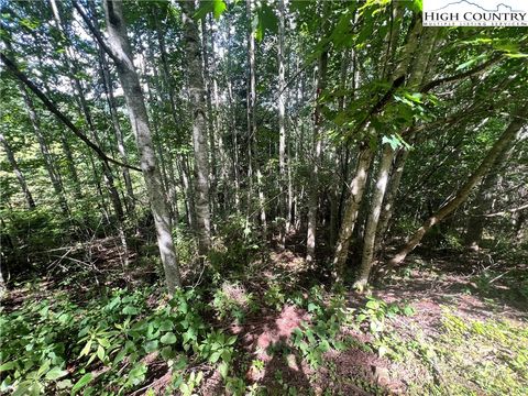 Photo of Lot 5 Old Barn Road, Vilas, NC 28692 (MLS # 257678)
