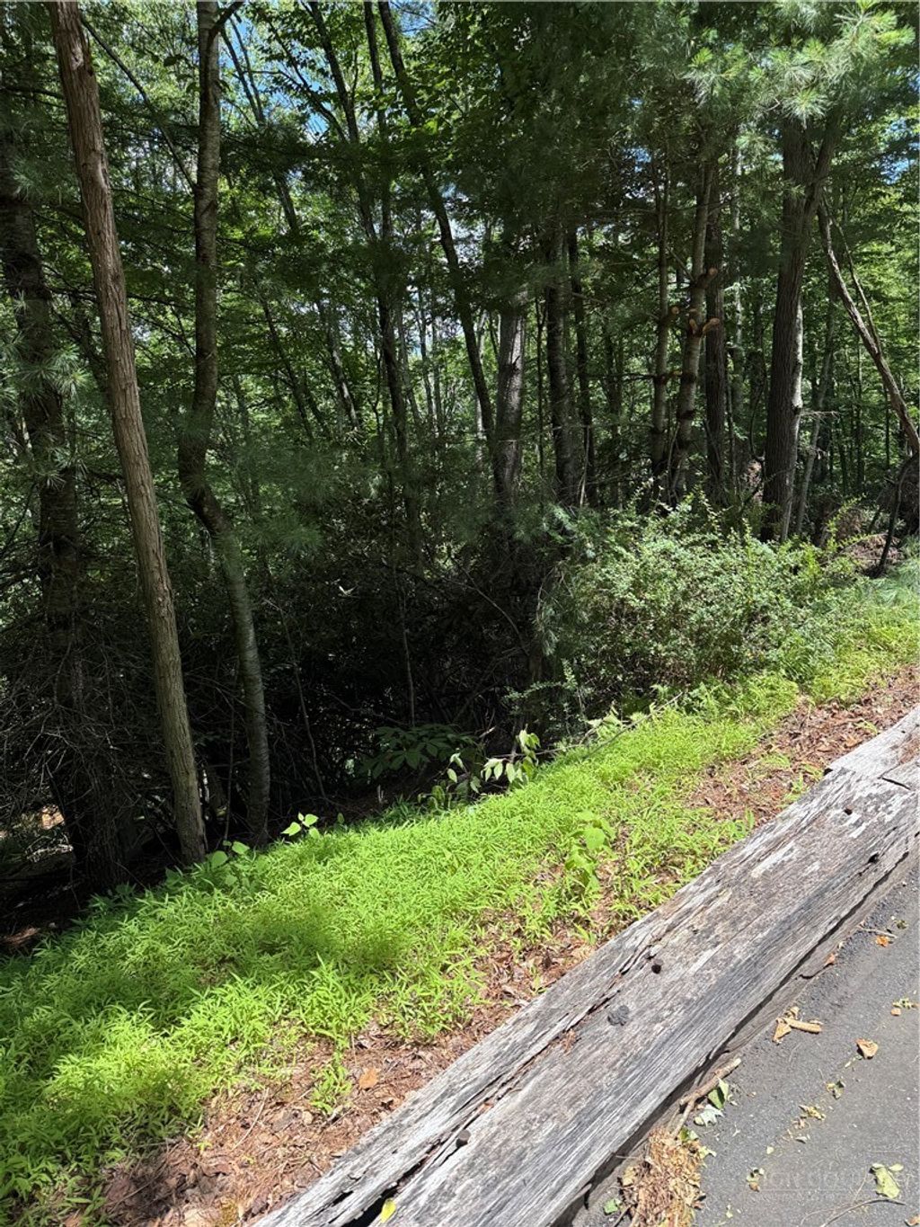 Photo of TBD Deerwood Road #58, Piney Creek, NC 28675 (MLS # 262959)