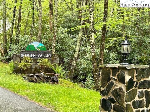 Photo of TBD Goshen Drive, Boone, NC 28607 (MLS # 255436)