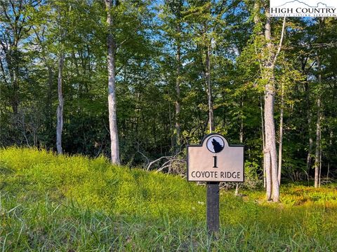 Photo of Lot R1 Coyote Trail, Boone, NC 28607 (MLS # 257932)