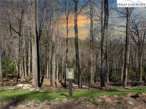 Photo of Lot 12 Wildcat Wilderness Parkway, Deep Gap, NC 28618 (MLS # 254728)