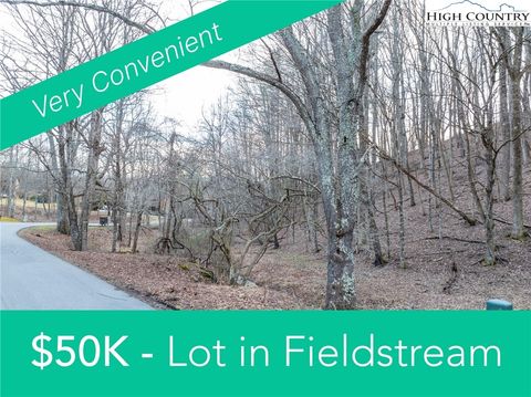Photo of TBD Fieldstream Drive, Boone, NC 28607 (MLS # 247460)