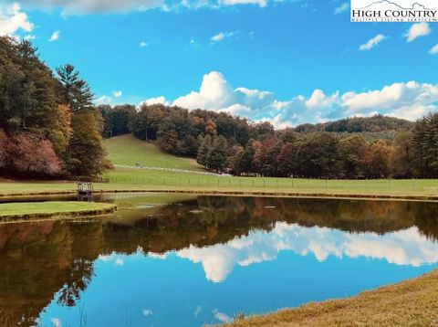 Photo of TBD Campbell Glen Lane, Fleetwood, NC 28626 (MLS # 260004)