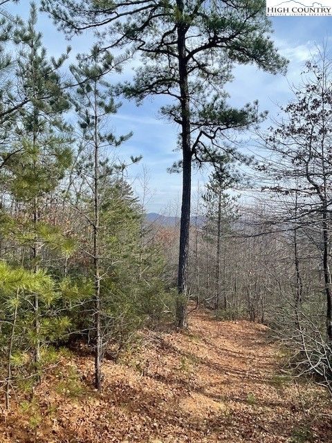 Photo of 82 Gold Run Lane, Ferguson, NC 28624 (MLS # 254033)