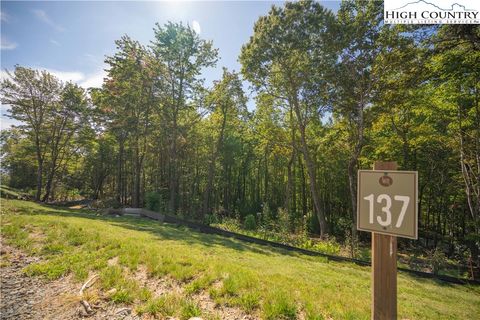 Photo of Lot 137 Angelfire Trail, Deep Gap, NC 28618 (MLS # 258122)