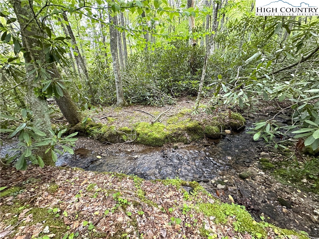 Blowing Rock, North Carolina 28605, United States, 4 Bedrooms Bedrooms, ,4 BathroomsBathrooms,Residential,Active,35504