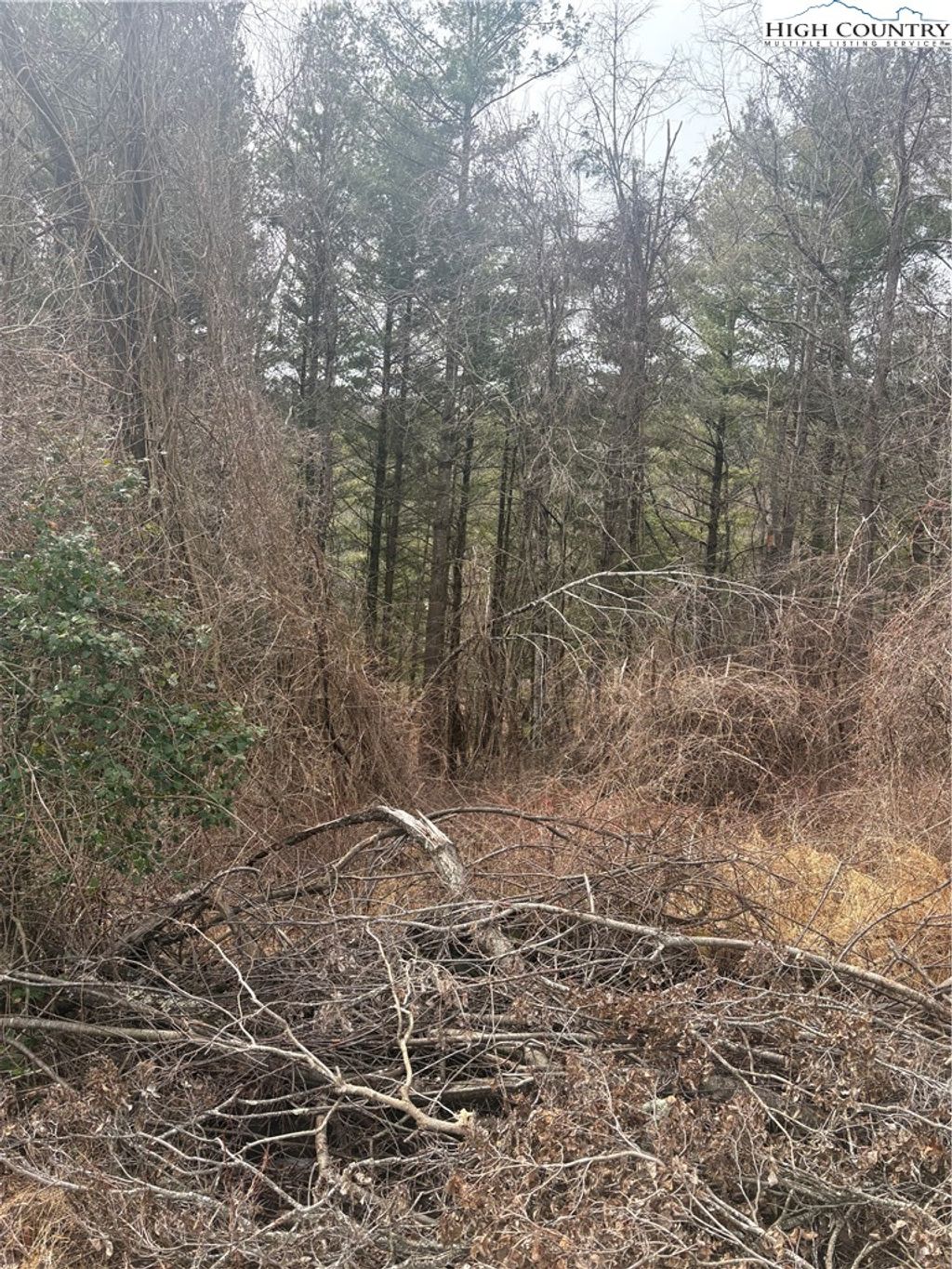 Photo of TBD 6-K River Run Lane, Sparta, NC 28675 (MLS # 259984)