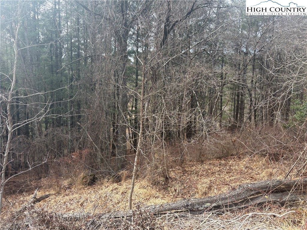Photo of TBD 6-K River Run Lane, Sparta, NC 28675 (MLS # 259984)
