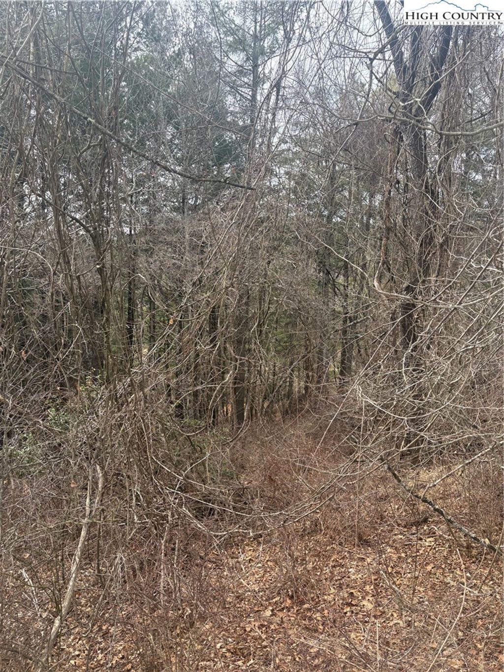 Photo of TBD 6-K River Run Lane, Sparta, NC 28675 (MLS # 259984)