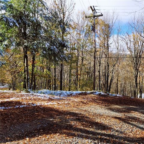 Photo of 1026 Charter Hills (plus Tract 2) Road, Beech Mountain, NC 28604 (MLS # 262070)