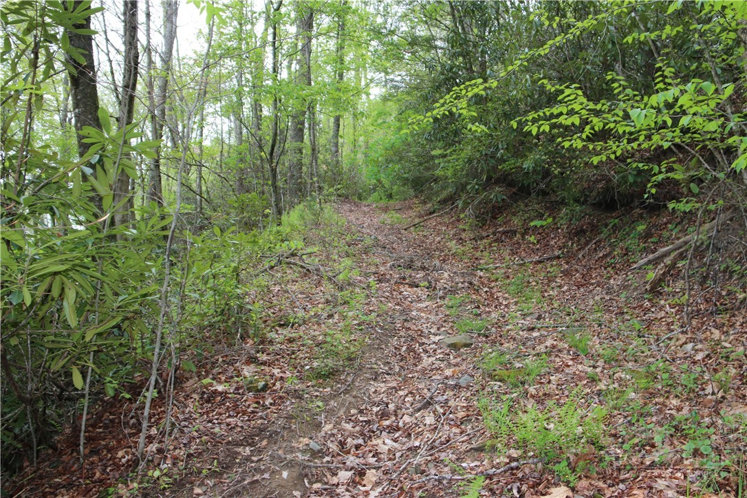 TBD Flatwoods School Road