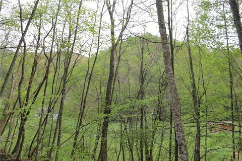 Photo of TBD Flatwoods School Road, Creston, NC 28615 (MLS # 261958)