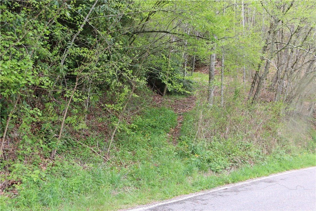 TBD Flatwoods School Road