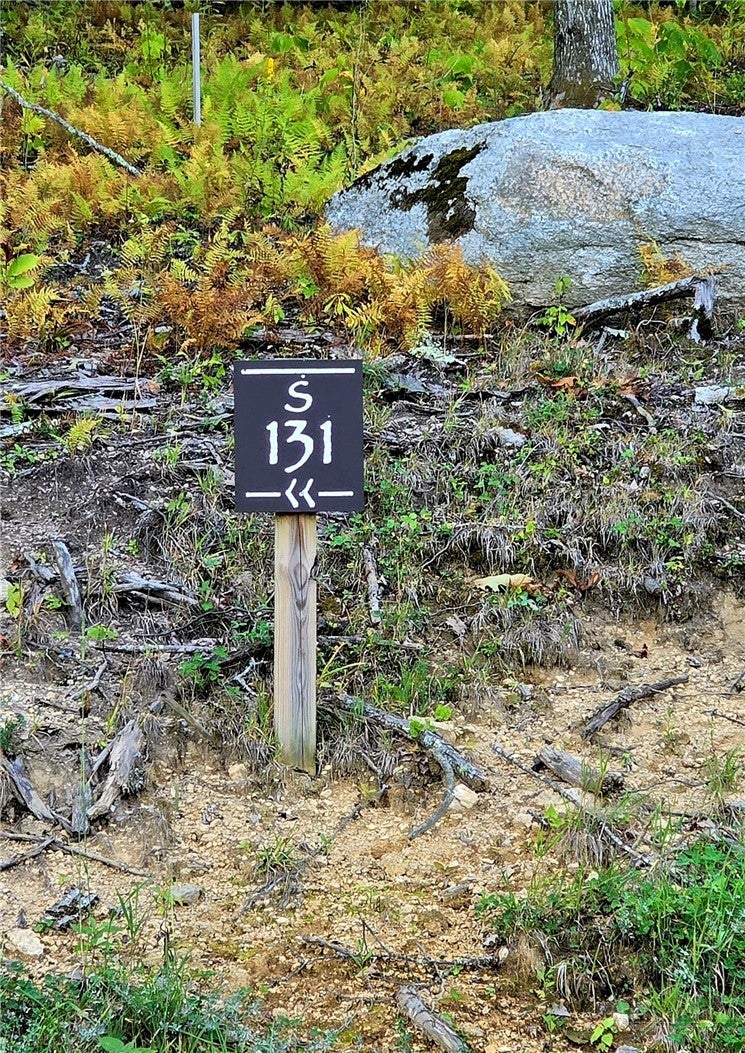 131 Eagle Roost