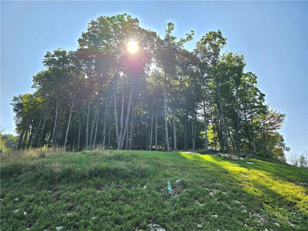 131 Eagle Roost