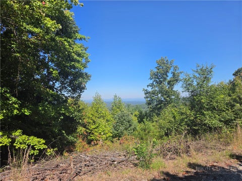 Photo of 1650 russell gap Road #102, Moravian Falls, NC 28654 (MLS # 264705)