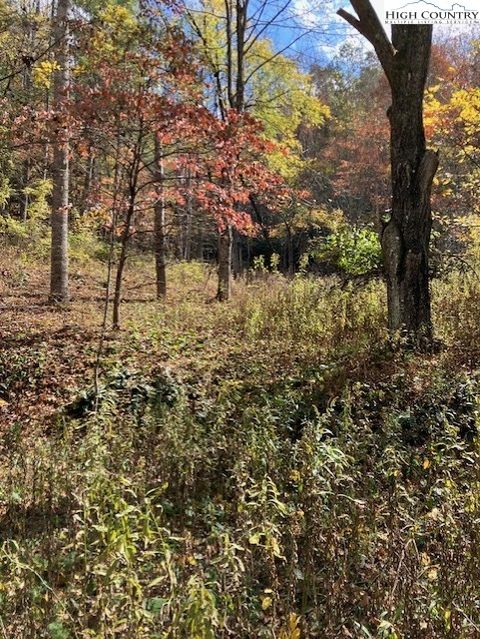 Photo of TBD S NC Hwy 194 Highway, Vilas, NC 28692 (MLS # 258591)
