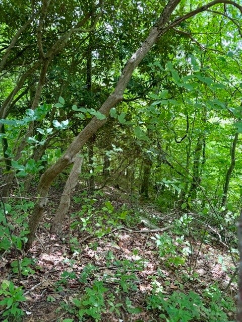 Lot 19 Clear Waters Edge Estate