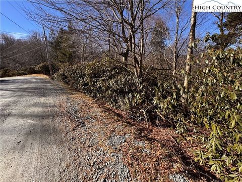 Photo of 117 Wild Daisy Lane, Beech Mountain, NC 28604 (MLS # 259435)