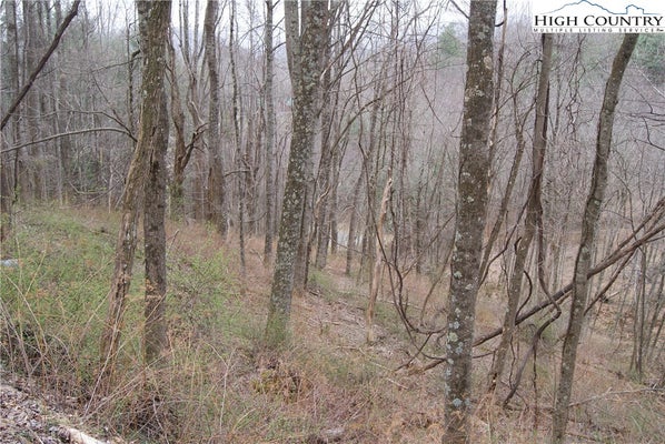 56 TOMS KNOB RD, SPARTA, NC 28675 - Image 6bfd2f3f479f37e8abf62100bb96bbb4/4014892564