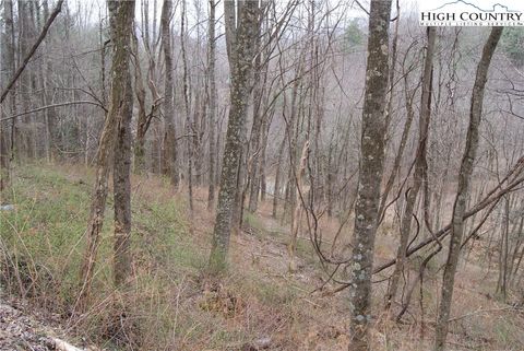 Vacant Land For Sale - LOT 56 Toms Knob Road<br/> Sparta, NC 28675