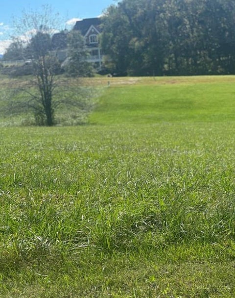 Photo of Lot 206 Canterbury Drive, North Wilkesboro, NC 28659 (MLS # 265077)