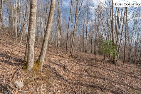Photo of Lot 52 Pinnacle Drive, Elk Park, NC 28604 (MLS # 253702)