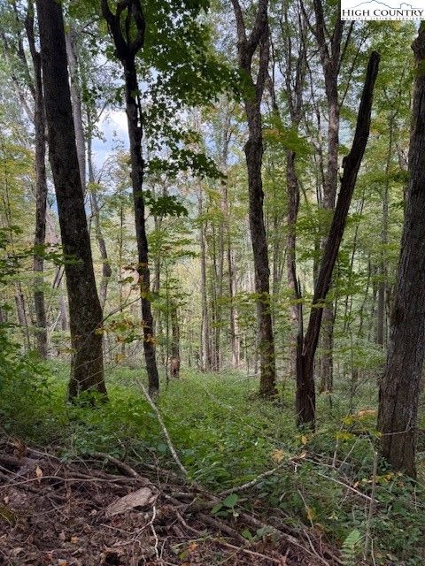 Photo of Lot 74a TBD Poplar Trail, Creston, NC 28615 (MLS # 258192)