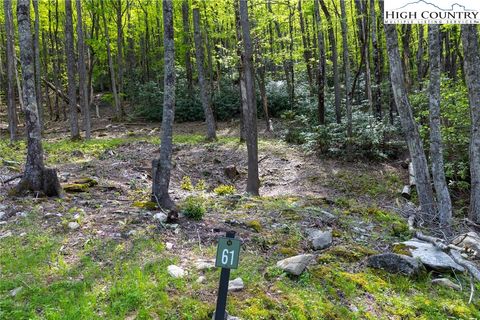 Photo of Lot 61 Wildcat Wilderness Parkway, Deep Gap, NC 28618 (MLS # 255283)