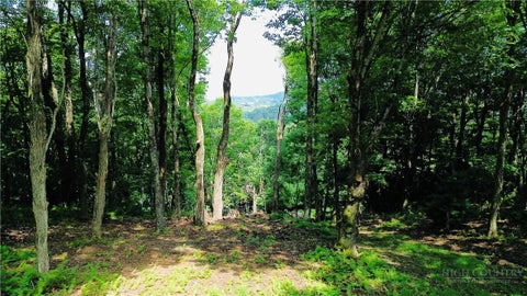 Vacant Land For Sale - TBD Mountain Song Road<br/> Watauga County, Blowing Rock, NC 28605