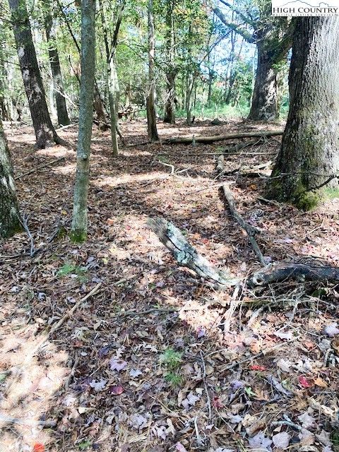 Photo of TBD Hollyknoll Road, Glade Valley, NC 28627 (MLS # 258497)