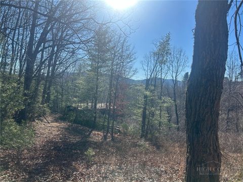 Photo of 7889 Old Highway 16, Crumpler, NC 28617 (MLS # 261556)