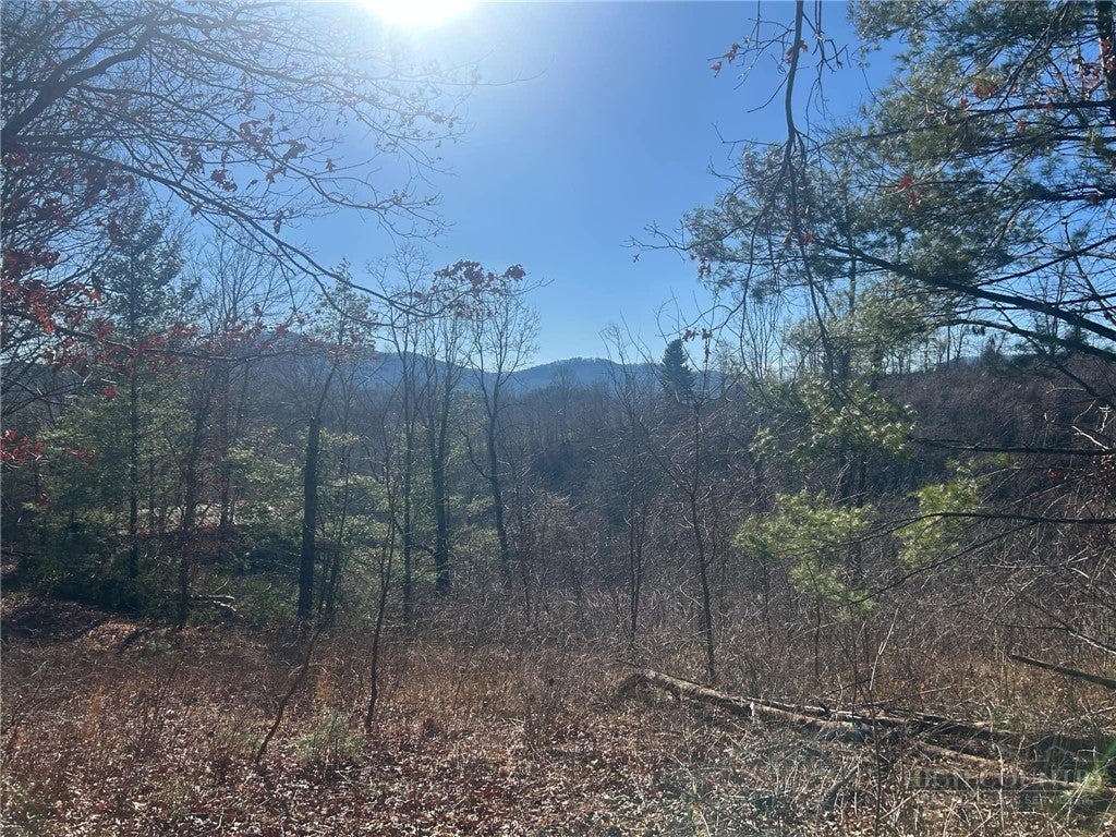 7889 Old Highway 16