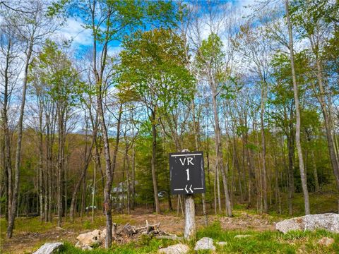 Photo of VR1 Red Sky Parkway, Elk Park, NC 28622 (MLS # 257563)
